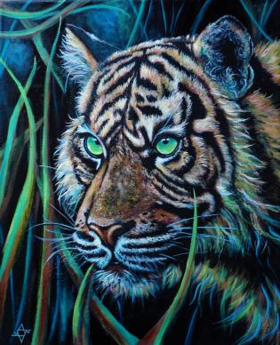 negli-occhi-della-tigre