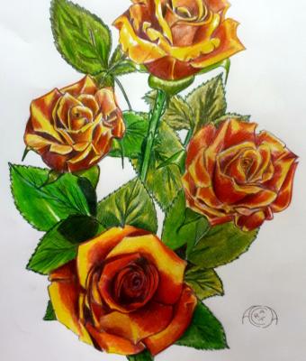 rose