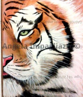 tiger-14