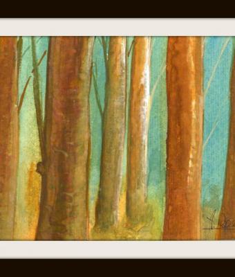 landscape-11