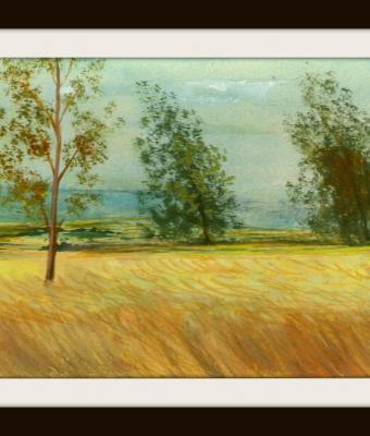 landscape-13