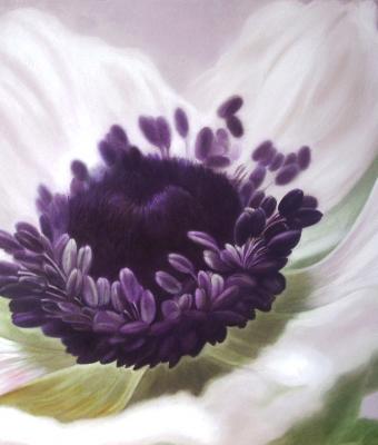 anemonebianco