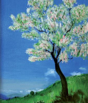 magica-primavera