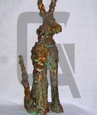 animali