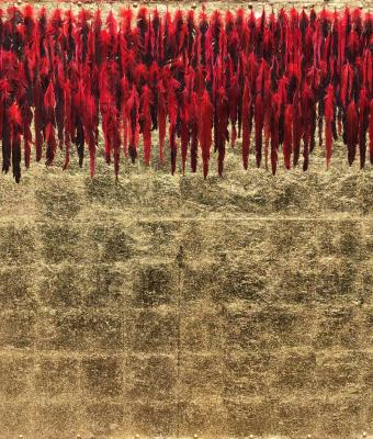 red-feathers