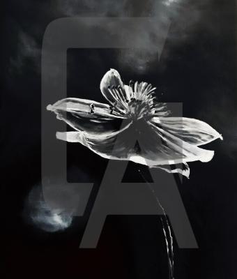 fiore