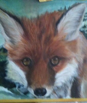 the-fox