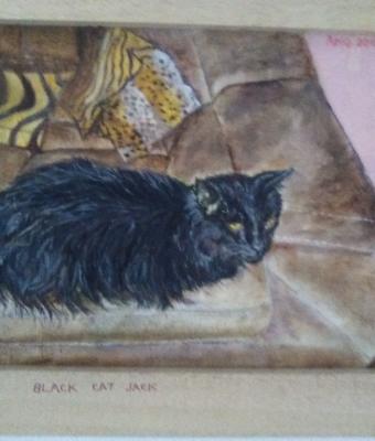black-cat-jack