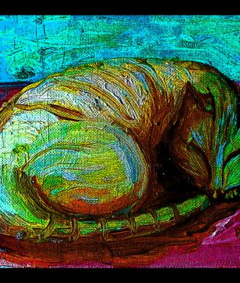 gatto-che-dorme