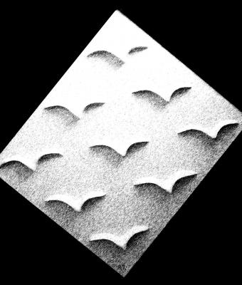 vola-di-gabbiani