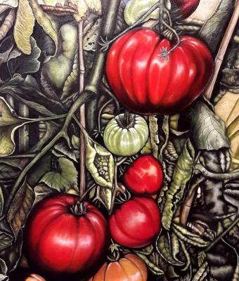 pomodori-nell-orto