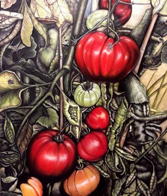 pomodori-nell-orto