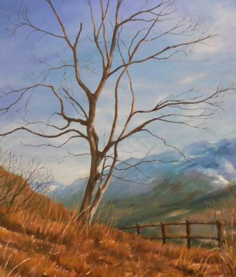 albero-solitario