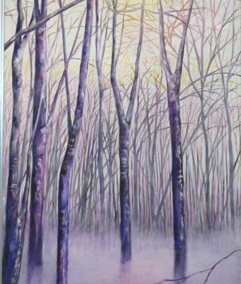 alberi-nella-nebbia