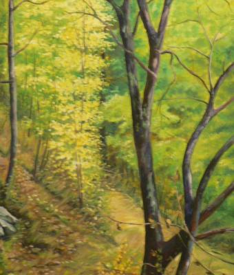 passeggiata-nel-bosco