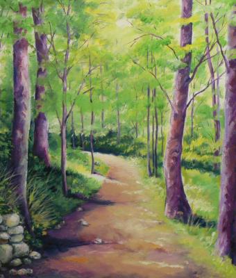 sentiero-nel-bosco