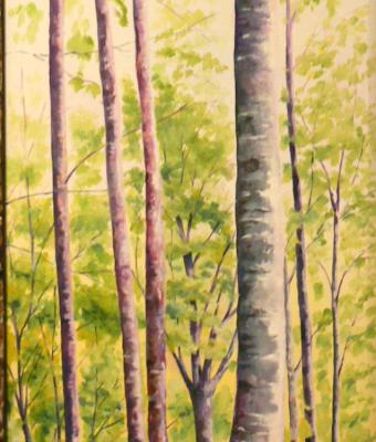 albero-nel-bosco