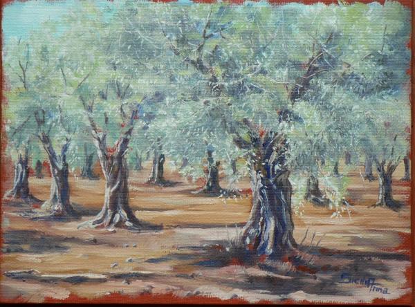 ulivi-del-salento-1