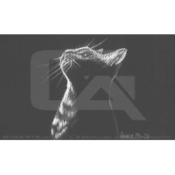 animali