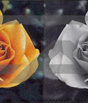 comune-di-lesmo-mb-21-gennai