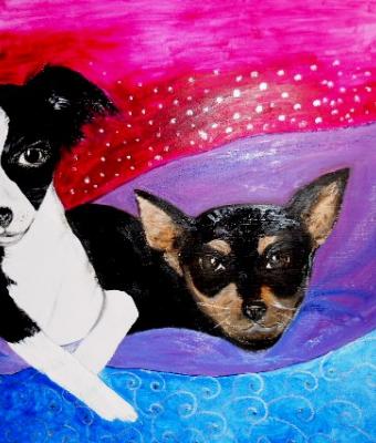 coco-efrida-le-mie-chihuahuine