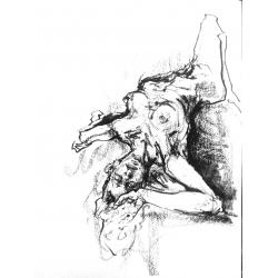 disegno-dal-vero