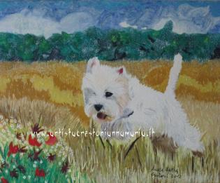 cagnolino-west-highland-white