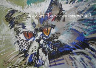 gatto-persiano-n2-gemello