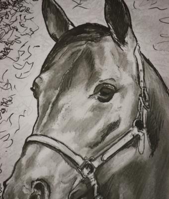 cavallo-da-corsa