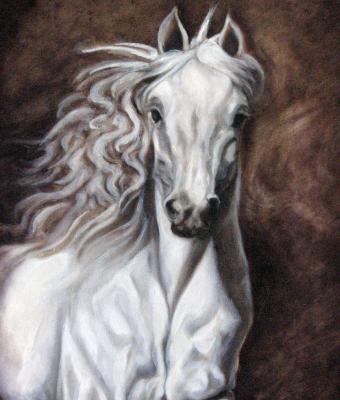 il-cavallo-bianco