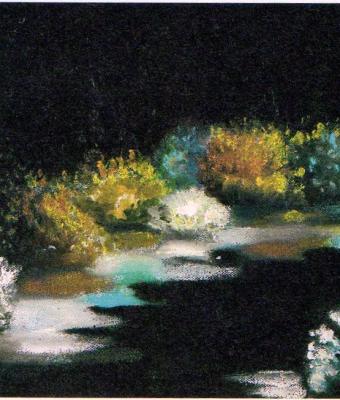 stagno-riflessi