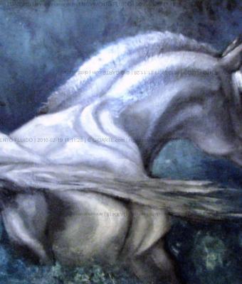 movimento-fluido