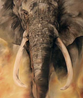 tembo