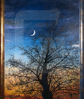 saggio-al-tramonto