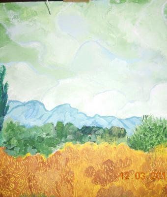 cipressi-in-campo-di-grano