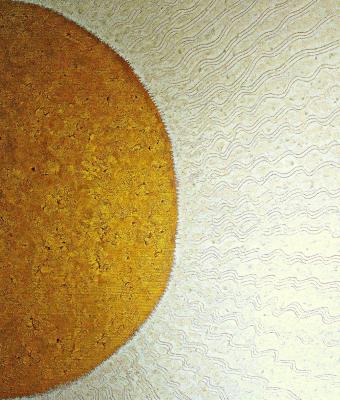 trasmissione-di-vita-intracell