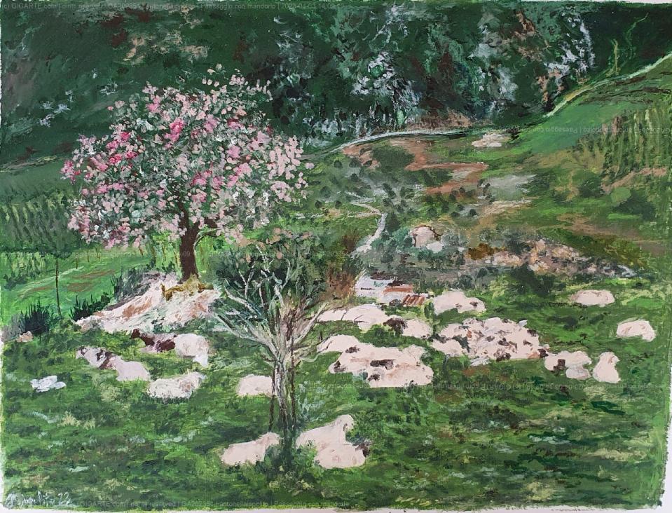 paesaggio-con-mandorlo