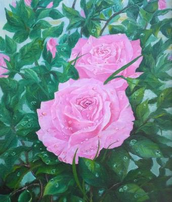 il-roseto