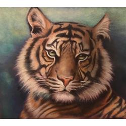 tigre
