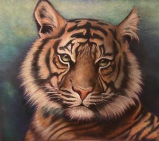 tigre