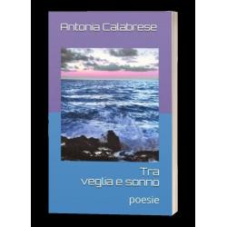tra-veglia-e-sonno tra-veglia-e-sonno