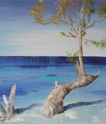 albero-solitario