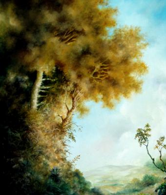 alberi-su-dirupo