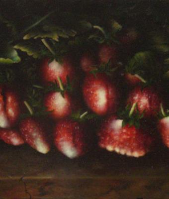 fragole