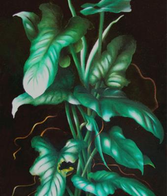foglie-di-philodendron