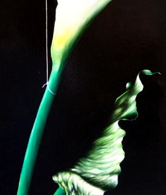 calla-al-filo