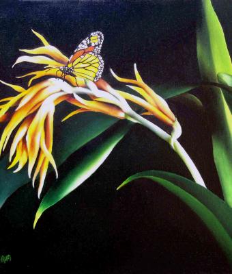 farfalla-gialla-su-fiore