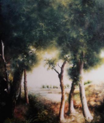 scorcio-di-paesaggio-a-papanic