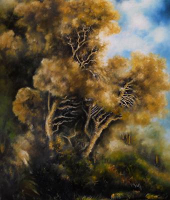 paesaggio