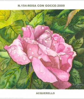 rosa-con-rugiada